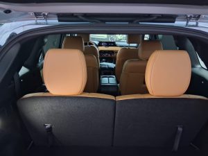 WhatsApp Image 2026-02-17 at 11.21.20 AM