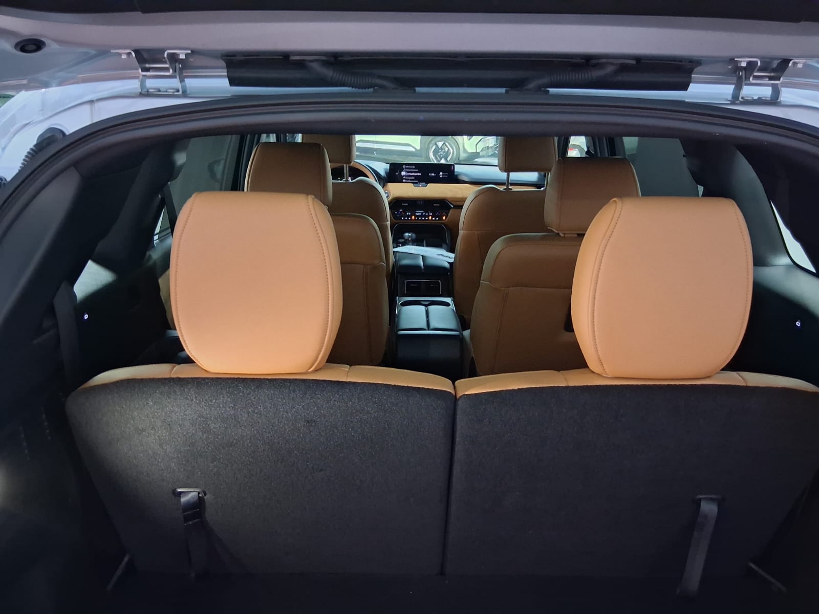 WhatsApp Image 2026-02-17 at 11.21.20 AM