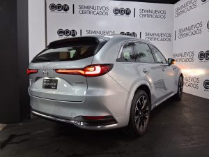 WhatsApp Image 2026-02-17 at 11.21.21 AM (1)