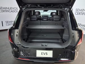 WhatsApp Image 2026-02-17 at 11.41.38 AM (1)