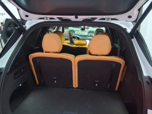 WhatsApp Image 2026-02-17 at 4.11.20 PM (1)