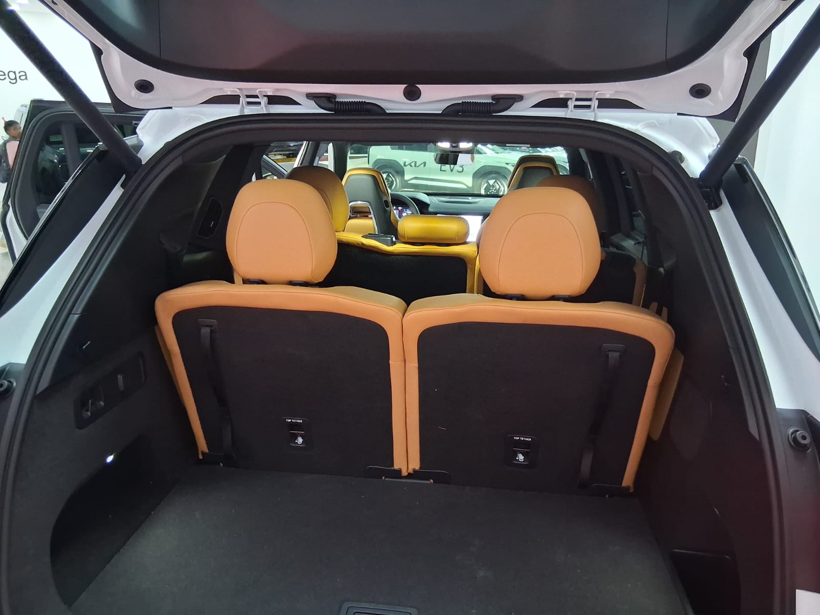 WhatsApp Image 2026-02-17 at 4.11.20 PM (1)