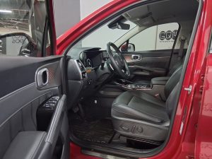 WhatsApp Image 2026-02-17 at 4.20.33 PM (1)