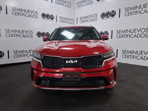 WhatsApp Image 2026-02-17 at 4.20.36 PM (1)