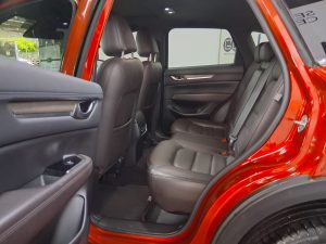 WhatsApp Image 2026-02-25 at 11.14.25 AM